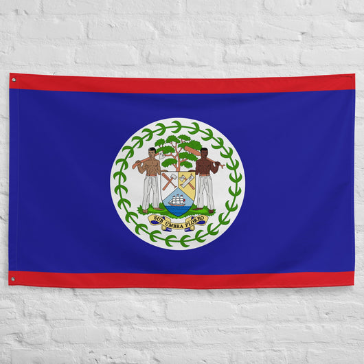 Belize Belizean Flag Wall Decor Art Print Banner Gift Ideas