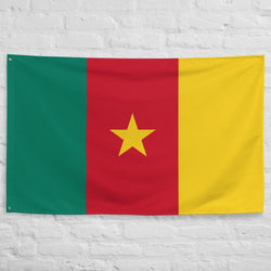 Cameroon Cameroonian Flag Wall Decor Art Print Banner Gift Ideas