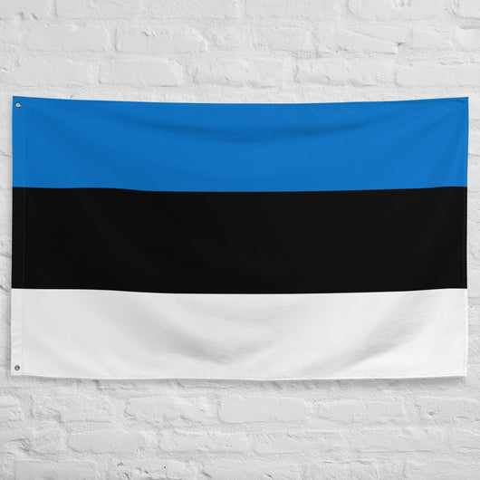 Estonia Estonian Flag Wall Decor Art Print Banner Gift Ideas