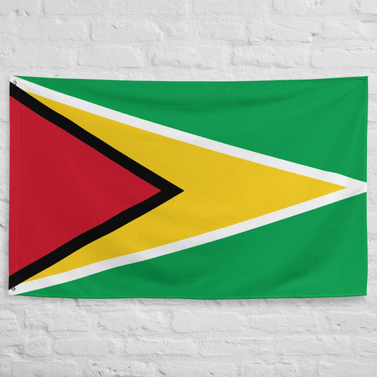 Guyana Guyanese Flag Wall Decor Art Print Banner Gift Ideas