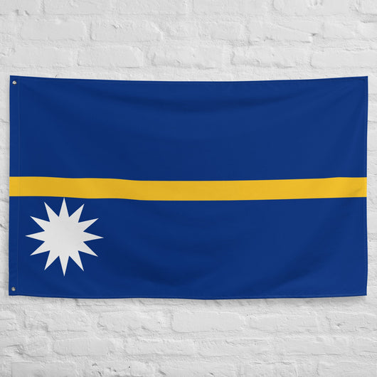 Nauru Nauruan Flag Wall Decor Art Print Banner Gift Ideas