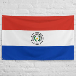 Paraguay Paraguayan Flag Wall Decor Art Print Banner Gift Ideas