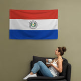 Paraguay Paraguayan Flag Wall Decor Art Print Banner Gift Ideas
