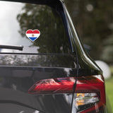 Paraguay Paraguayan Flag Sticker Heart Flag Stickers Laptop Decals Travel Souvenir Stickers Decals & Skins